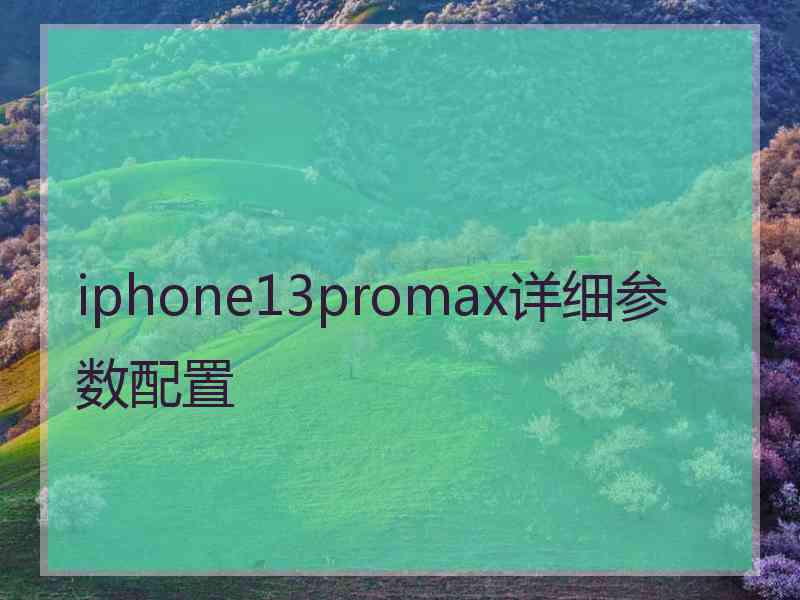 iphone13promax详细参数配置