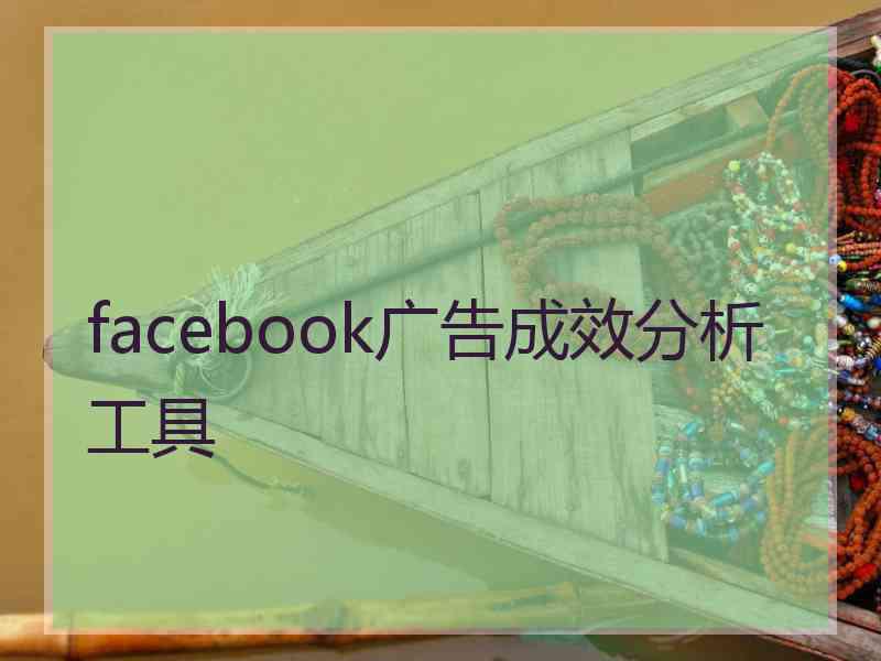 facebook广告成效分析工具