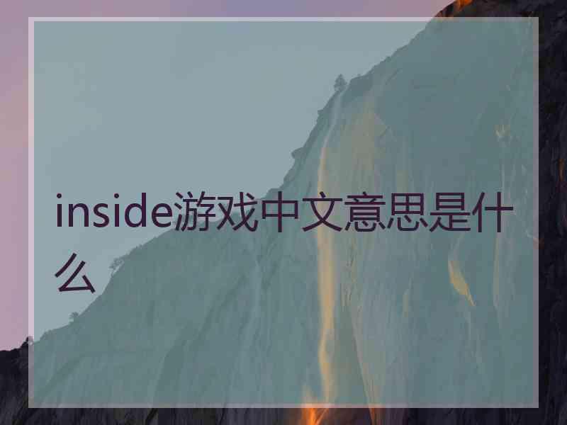 inside游戏中文意思是什么