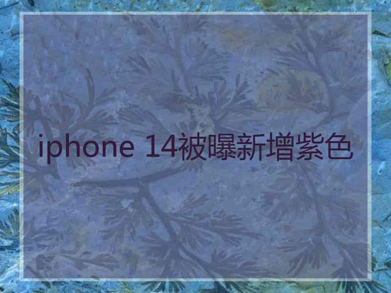 iphone 14被曝新增紫色