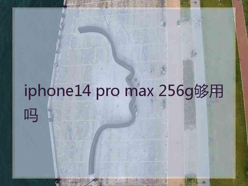 iphone14 pro max 256g够用吗