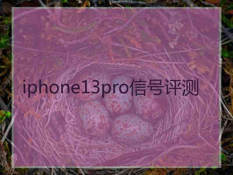 iphone13pro信号评测