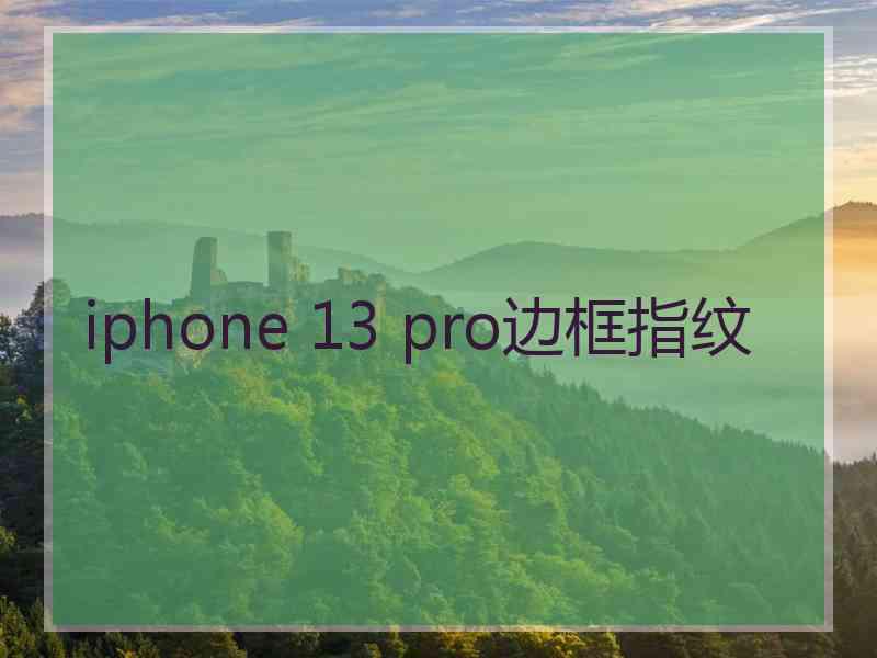 iphone 13 pro边框指纹