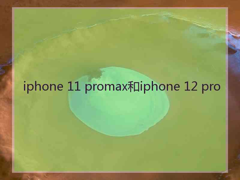 iphone 11 promax和iphone 12 pro