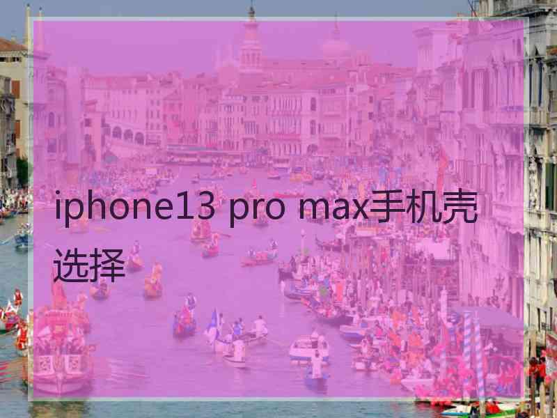 iphone13 pro max手机壳选择