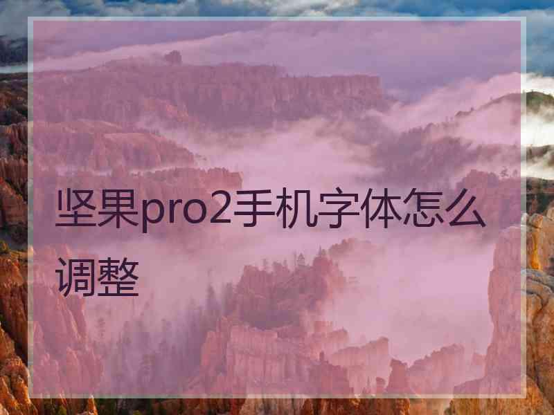 坚果pro2手机字体怎么调整