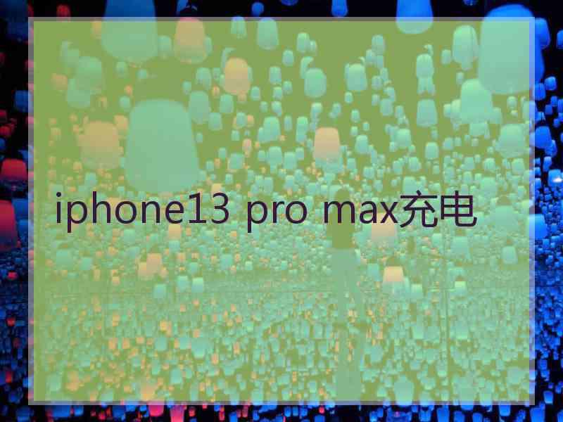 iphone13 pro max充电