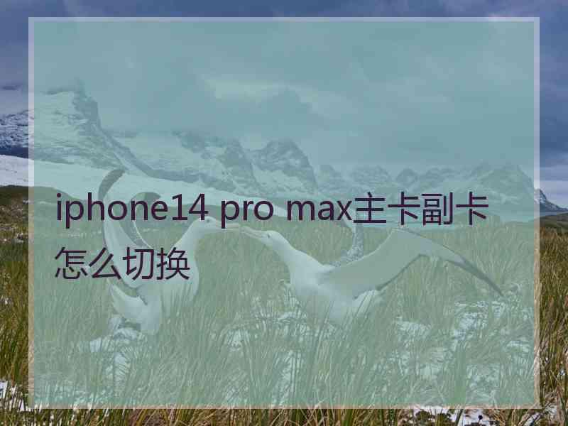 iphone14 pro max主卡副卡怎么切换