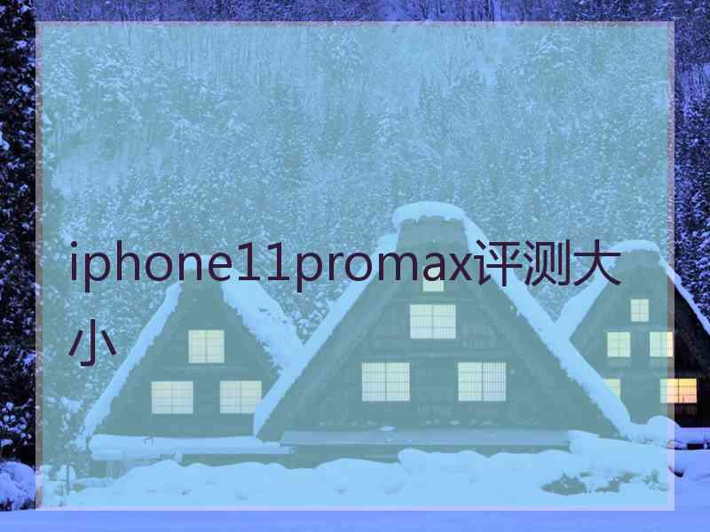 iphone11promax评测大小