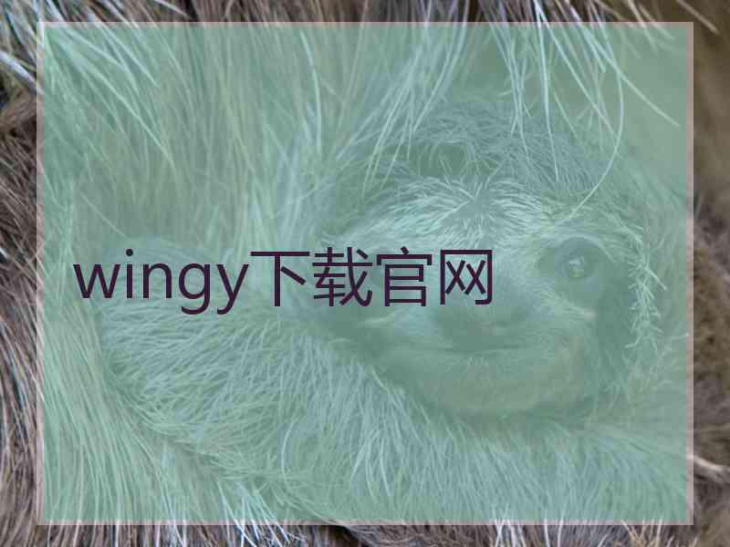 wingy下载官网