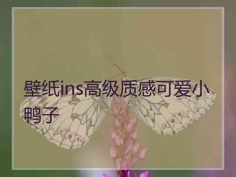 壁纸ins高级质感可爱小鸭子