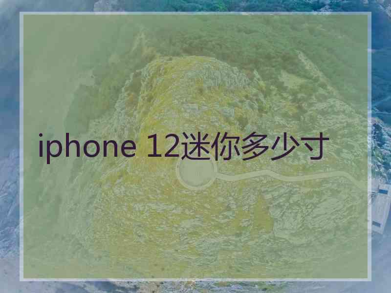 iphone 12迷你多少寸