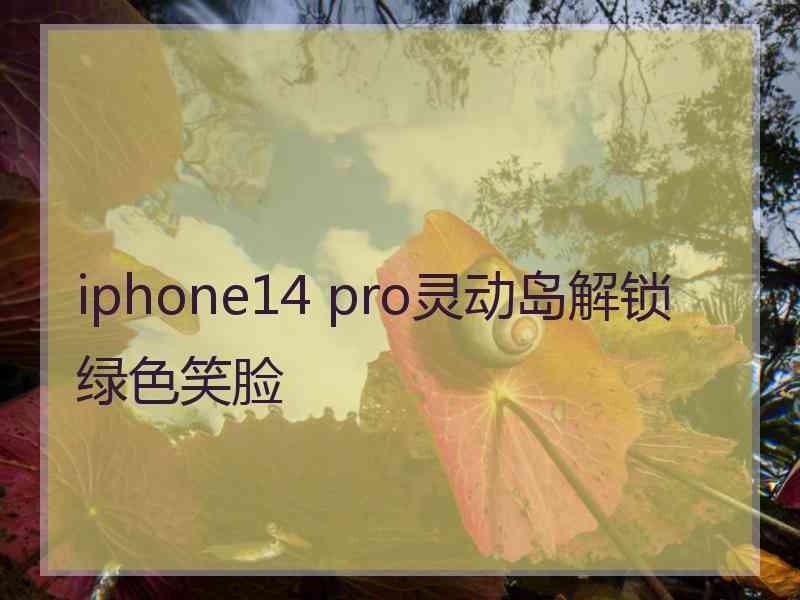 iphone14 pro灵动岛解锁绿色笑脸