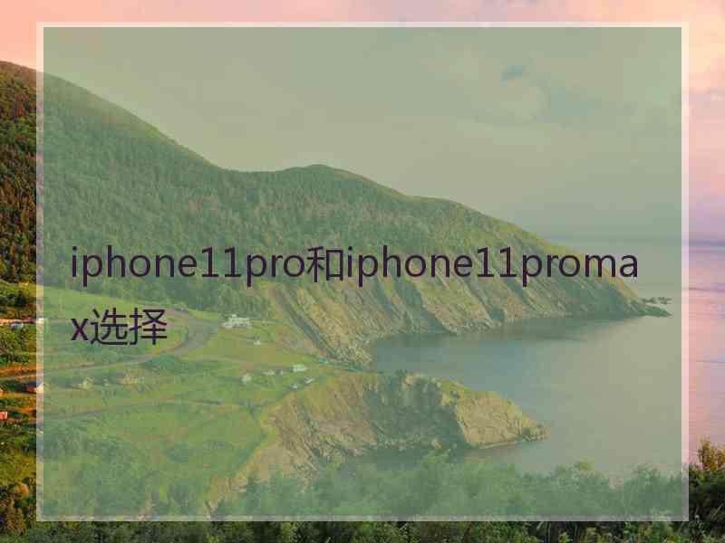 iphone11pro和iphone11promax选择