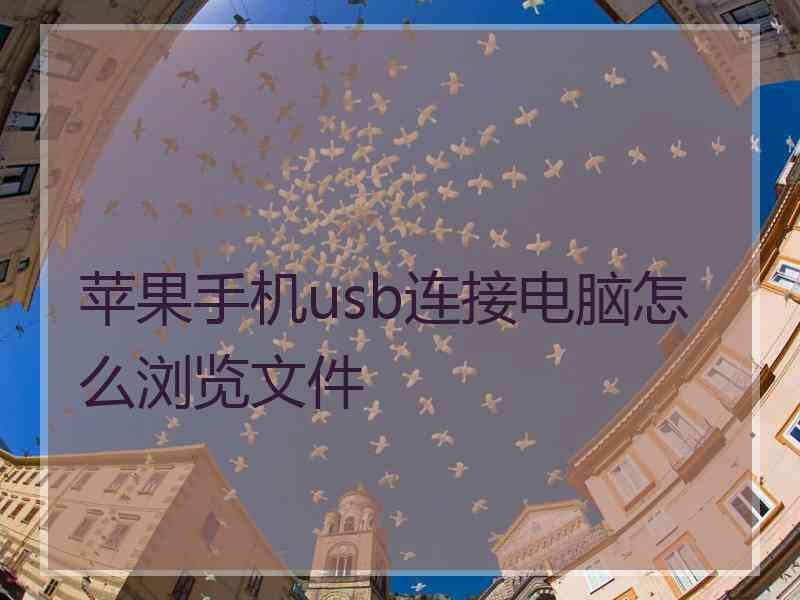 苹果手机usb连接电脑怎么浏览文件