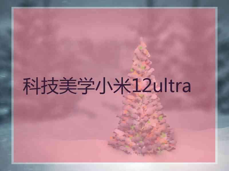 科技美学小米12ultra