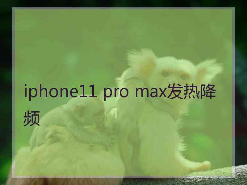 iphone11 pro max发热降频